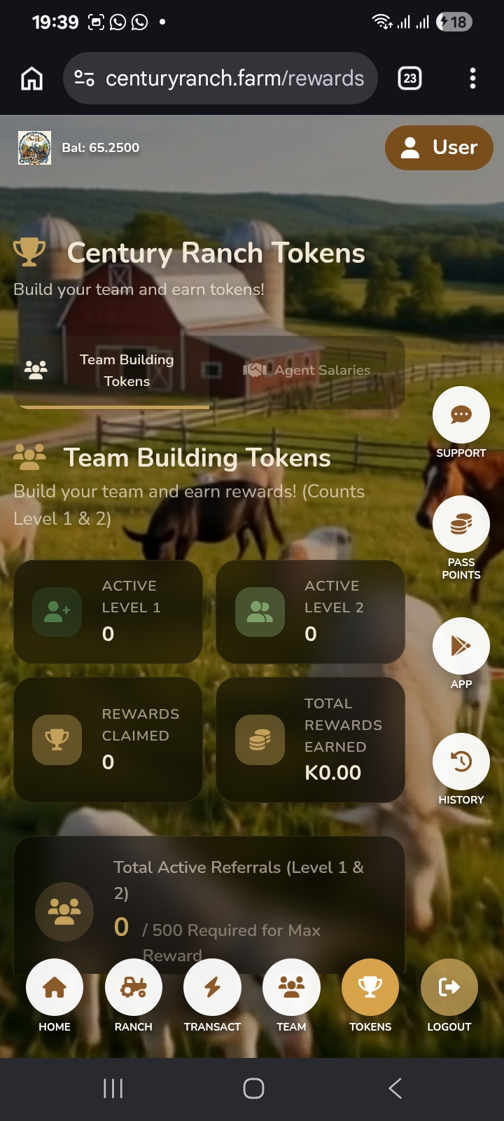 App Screenshot 4